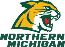 Northern Michigan Wildcats 2016-Pres Alternate Logo 02 custom vinyl decal