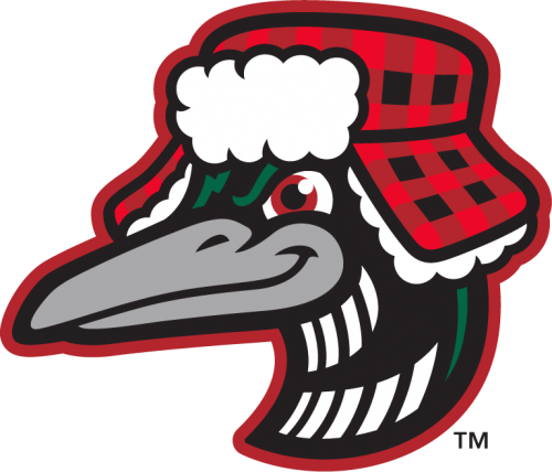 Great Lakes Loons 2016-Pres Alternate Logo 7 heat sticker