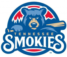 Tennessee Smokies 2015-Pres Primary Logo heat sticker
