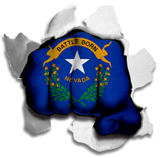 Fist Nevada State Flag Logo custom vinyl decal