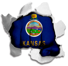 Fist Kansas State Flag Logo custom vinyl decal