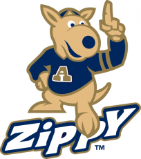 Akron Zips 2002-Pres Mascot Logo 02 custom vinyl decal