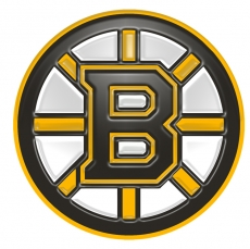 Boston Bruins Plastic Effect Logo custom vinyl decal