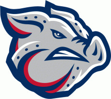 Lehigh Valley IronPigs 2008-Pres Alternate Logo heat sticker