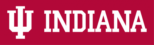 Indiana Hoosiers 2002-Pres Wordmark Logo 02 custom vinyl decal