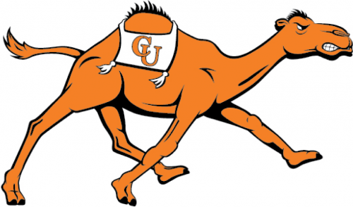 Campbell Fighting Camels 2008-Pres Alternate Logo custom vinyl decal