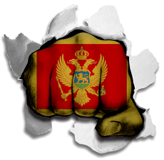 Fist Montenegro Flag Logo heat sticker