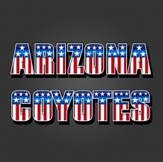 Arizona Coyotes American Captain Logo heat sticker