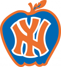 New York Knicks 1978-1979 Alternate Logo heat sticker