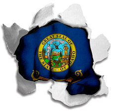 Fist Idaho State Flag Logo custom vinyl decal