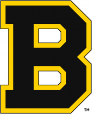 Boston Bruins 1934 35-1948 49 Primary Logo heat sticker