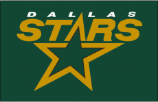 Dallas Stars 1997 98-2006 07 Jersey Logo heat sticker