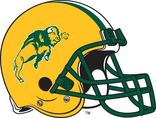 North Dakota State Bison 2000-2011 Helmet custom vinyl decal