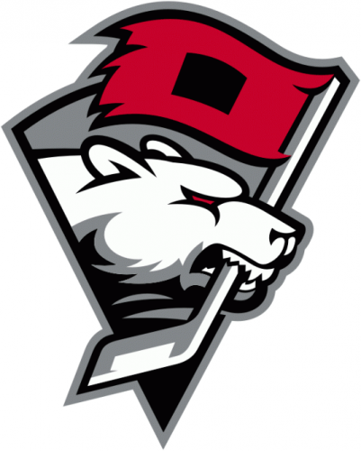 Charlotte Checkers 2010-Pres Alternate Logo custom vinyl decal