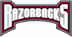 Arkansas Razorbacks 2001-2008 Wordmark Logo custom vinyl decal