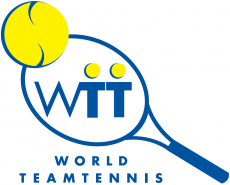 World TeamTennis 2000-2007 Primary Logo heat sticker