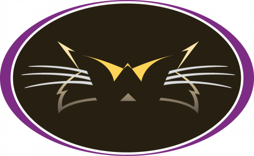 Western Carolina Catamounts 1996-2007 Alternate Logo 07 custom vinyl decal