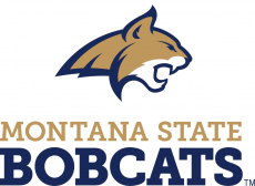 Montana State Bobcats 2013-Pres Alternate Logo 01 custom vinyl decal