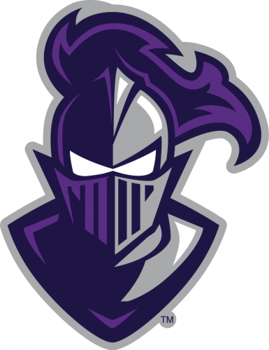 Furman Paladins 2013-Pres Alternate Logo custom vinyl decal