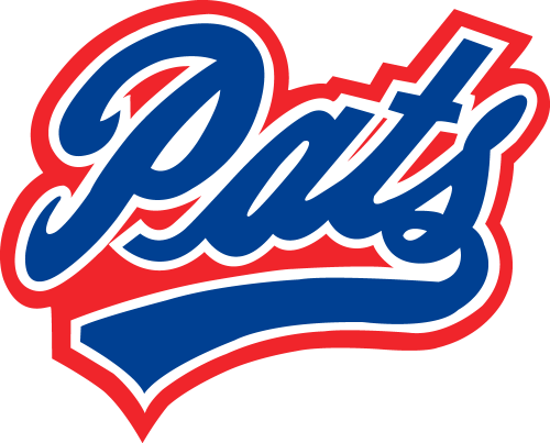 Regina Pats 2009 10-2013 14 Primary Logo custom vinyl decal