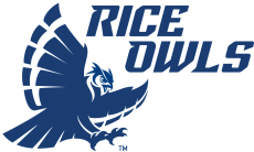 Rice Owls 2017-Pres Alternate Logo 01 custom vinyl decal