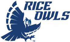 Rice Owls 2017-Pres Alternate Logo 01 heat sticker