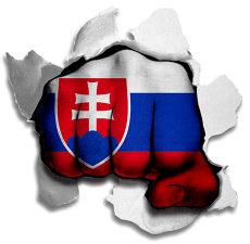 Fist Slovakia Flag Logo heat sticker
