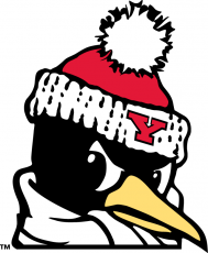 Youngstown State Penguins 1993-Pres Alternate Logo 06 custom vinyl decal