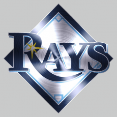 Tampa Bay Rays Stainless steel logo heat sticker