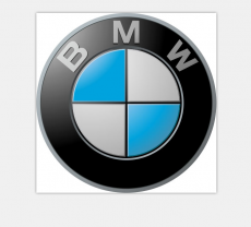 BMW Logo 05 custom vinyl decal