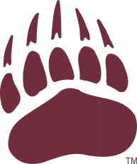 Montana Grizzlies 1996-Pres Secondary Logo 02 heat sticker