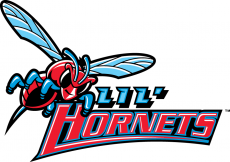 Delaware State Hornets 2004-Pres Misc Logo heat sticker