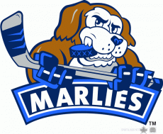 Toronto Marlies 2008 09-2009 10 Alternate Logo heat sticker