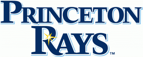 Princeton Rays 2009-Pres Primary Logo heat sticker