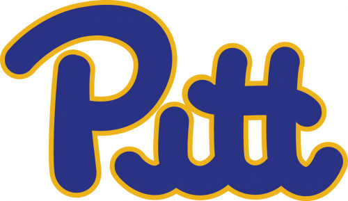 Pittsburgh Panthers 1973-1996 Wordmark Logo heat sticker