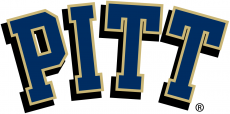 Pittsburgh Panthers 2005-2015 Primary Logo heat sticker