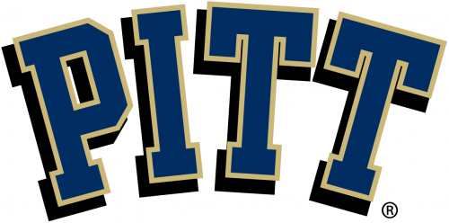 Pittsburgh Panthers 2005-2015 Primary Logo custom vinyl decal