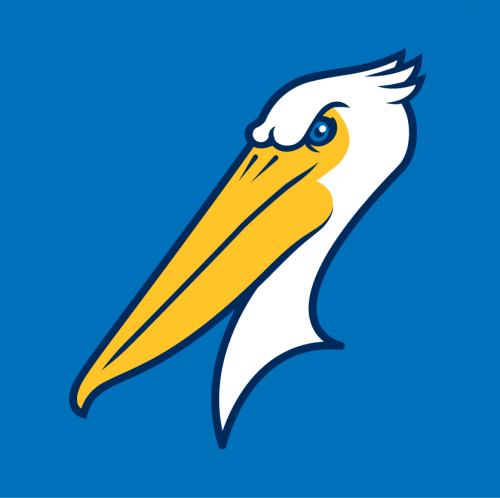Myrtle Beach Pelicans 2007-Pres Cap Logo 2 heat sticker