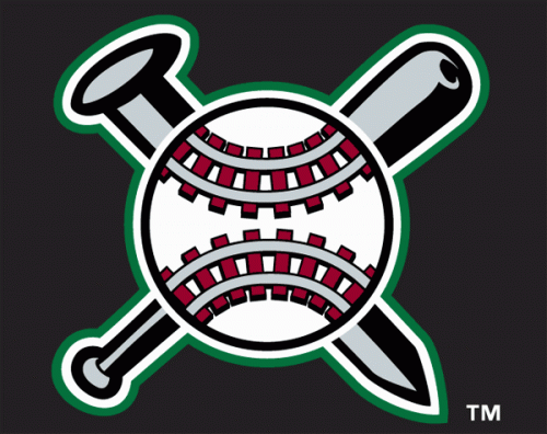 Altoona Curve 1999-2010 Cap Logo heat sticker