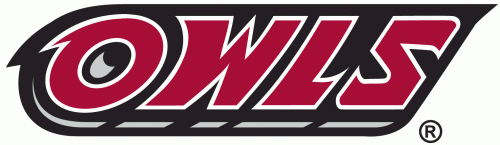 Temple Owls 1996-Pres Wordmark Logo heat sticker