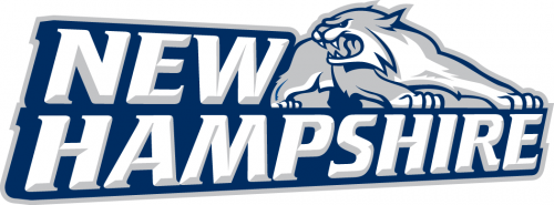 New Hampshire Wildcats 2000-Pres Alternate Logo 01 custom vinyl decal