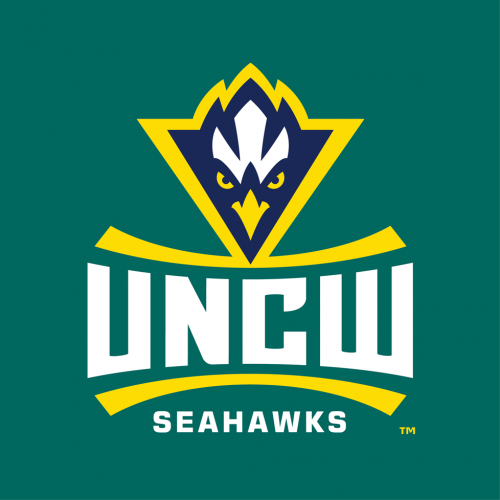 NC-Wilmington Seahawks 2015-Pres Alternate Logo 03 custom vinyl decal