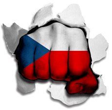Fist Czech Republic Flag Logo heat sticker