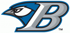 Bluefield Blue Jays 2011 Primary Logo heat sticker