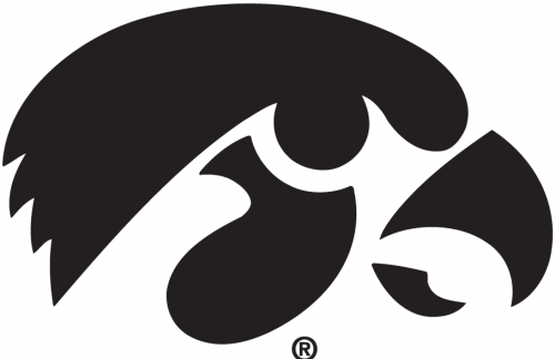 Iowa Hawkeyes 1979-Pres Alternate Logo 02 custom vinyl decal