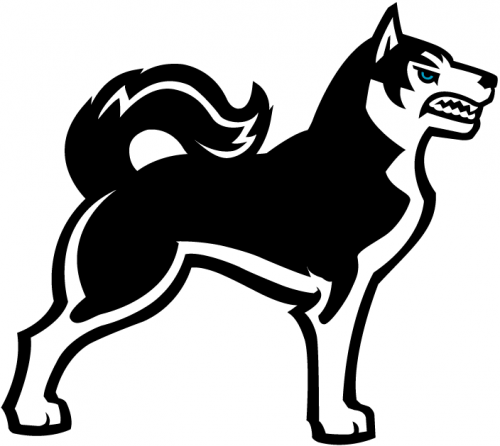 Northeastern Huskies 2001-2006 Alternate Logo 02 heat sticker