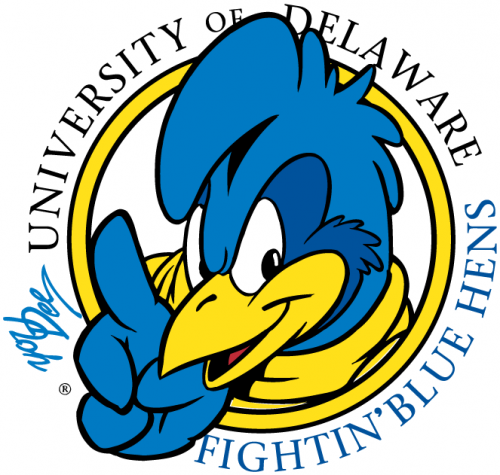 Delaware Blue Hens 1999-2008 Primary Logo heat sticker