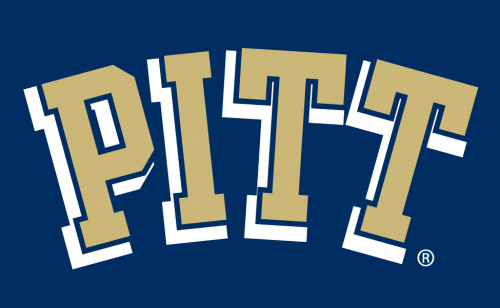 Pittsburgh Panthers 1997-2015 Wordmark Logo 01 heat sticker