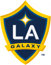 LA Galaxy Logo heat sticker