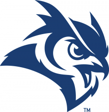 Rice Owls 2017-Pres Secondary Logo heat sticker